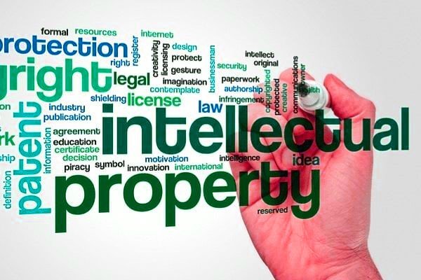 Global Perspectives on Intellectual Property Protection