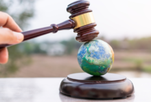 Environmental Lawsuits