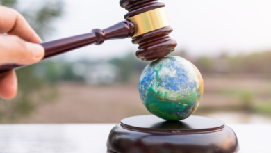 Environmental Lawsuits